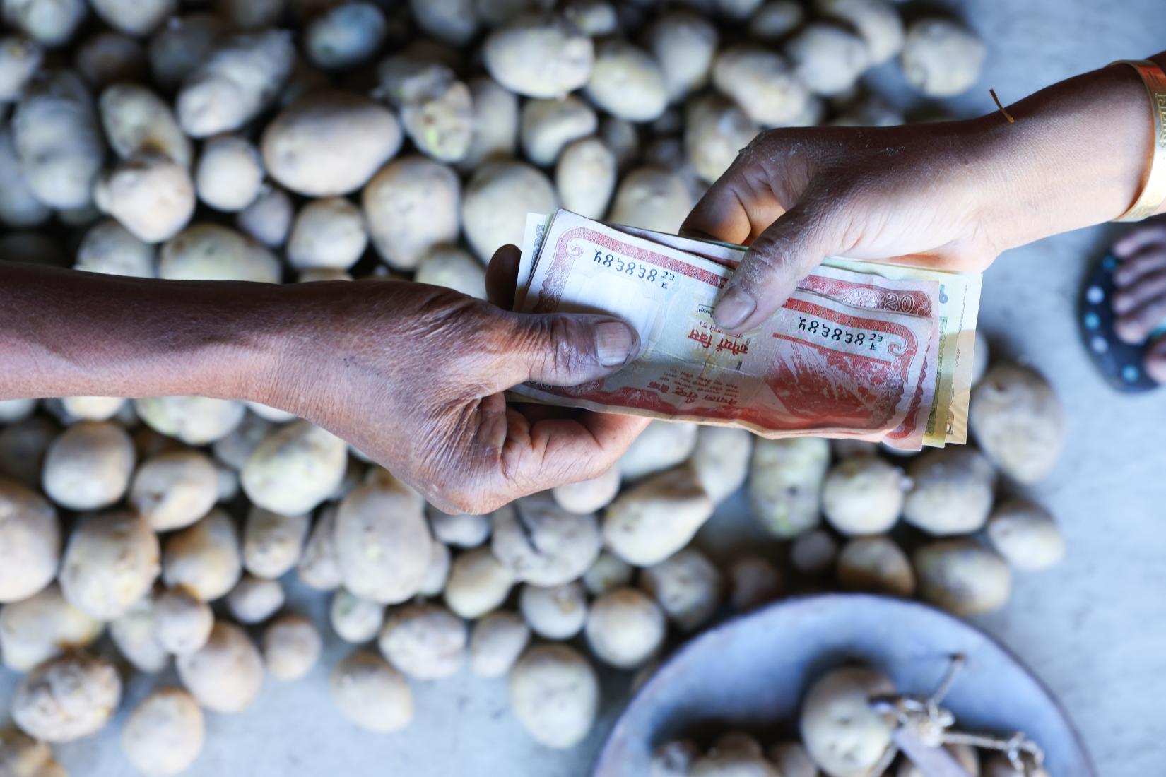 An image of two hands exchanging money, with a backdrop of potatoes visible.