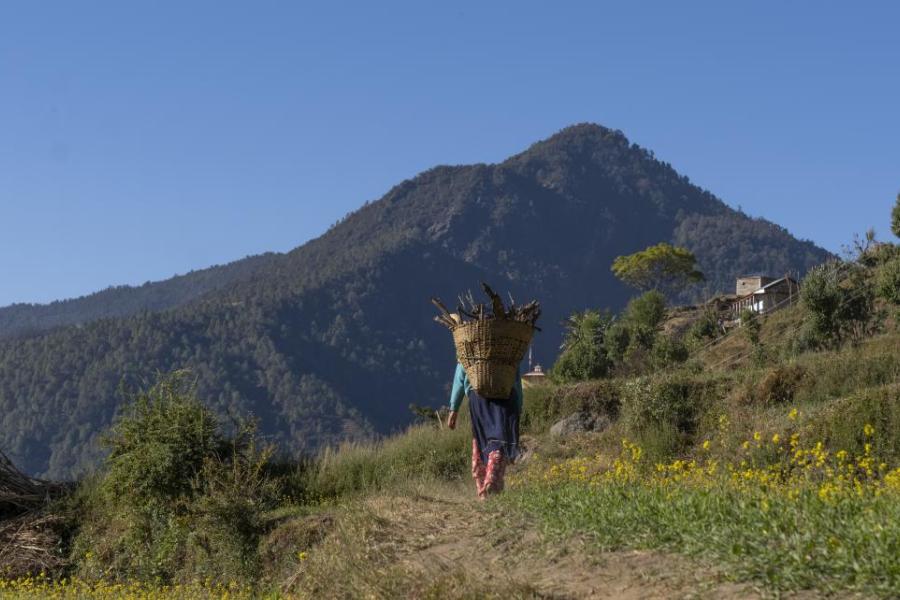 A young girl carries a small basket of firewood home in Kalikot District in western Nepal.