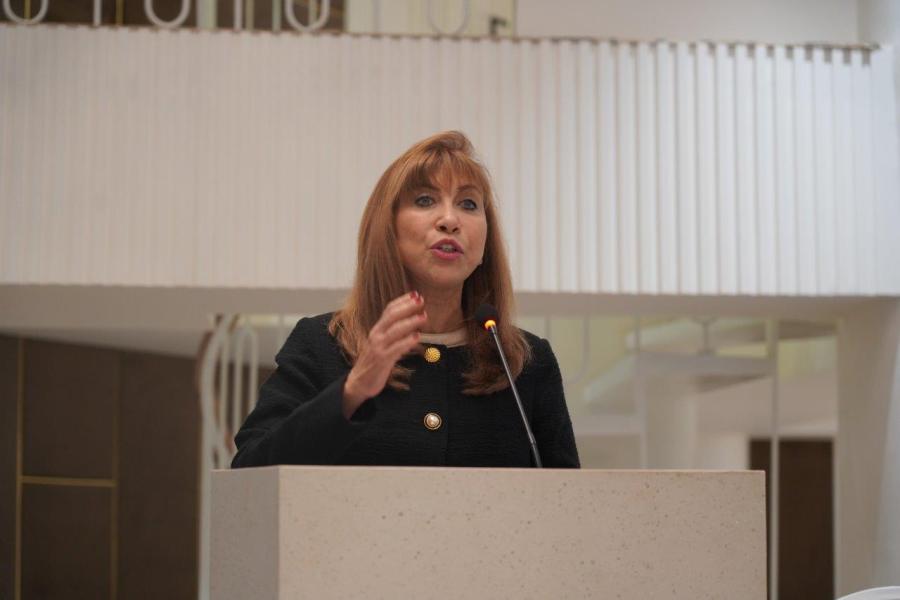 Ms. Hanaa Singer-Hamdy is speaking at the event wearing a black coat and standing in front of the podium.