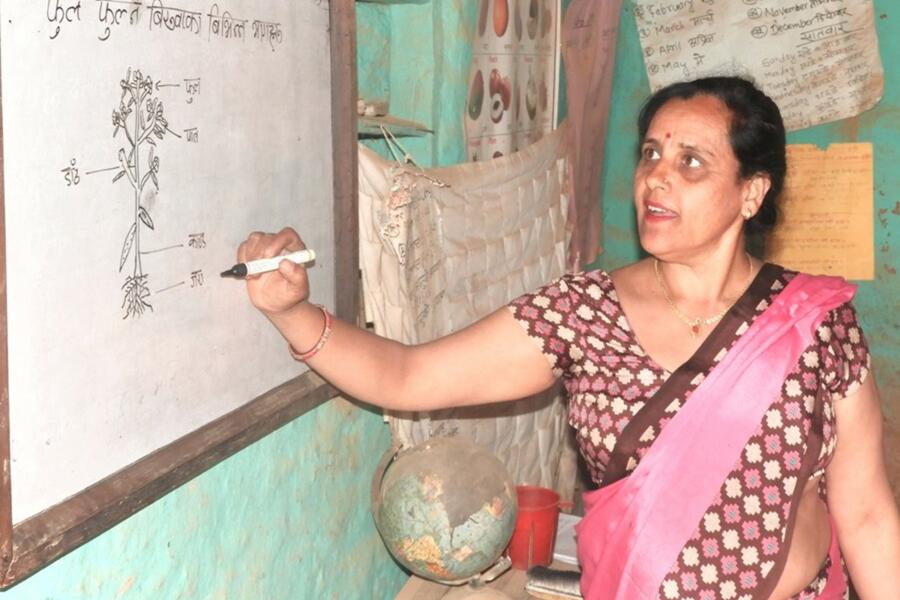 A nepali teacher wearing pink saree has drawn a picture of plants with it labeled on a white board.