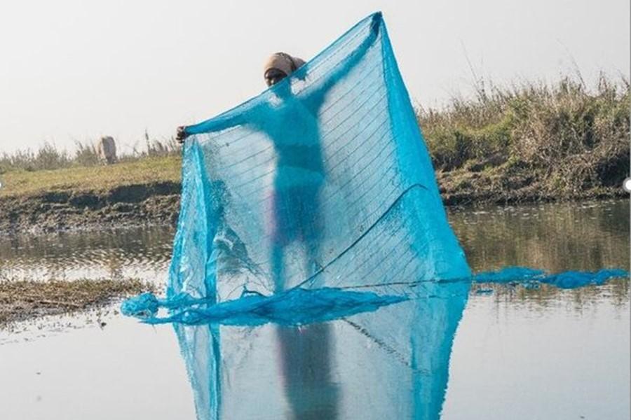 A man with a white scarf tied around his head holds out a blue net in the middle of a river near the grassy riverbed.