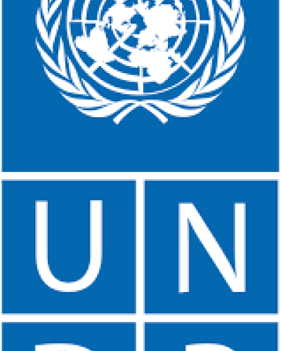 Cover image of UNDP annual report 2021