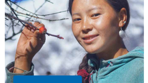 Cover image of UNDP annual report 2021