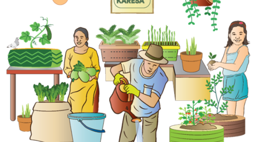An animated picture of a woman putting home grown vegetables into a sack, a man watering plants and a girl holding a plant to be planted. There are other various plants such as succulents and vegetables in the picture.